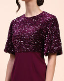 Camla Barcelona Sequin Embellished Plum Sheath Dress